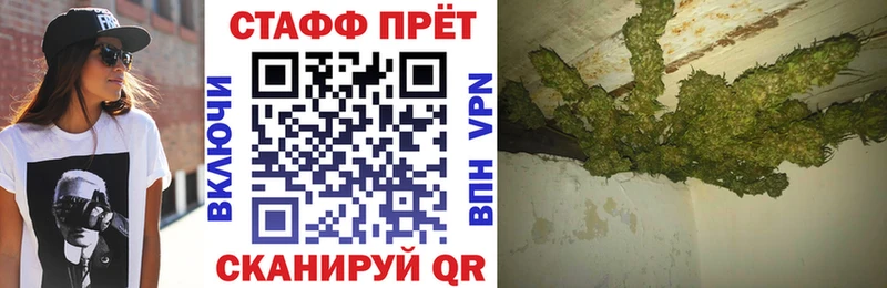 Купить наркотик аптеки Пустошка Галлюциногенные грибы  КОКАИН  Мефедрон  МАРИХУАНА  Alpha PVP 