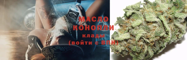 гидра Ельня