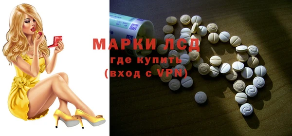 гидра Ельня