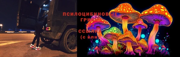 ешки Елизово