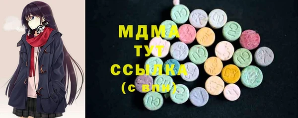 гидра Ельня