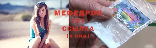 гидра Ельня
