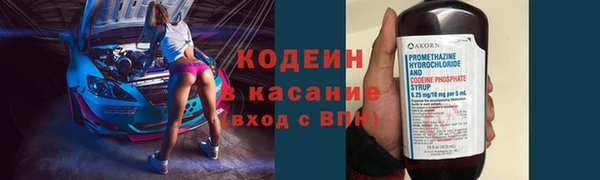 ГАЛЛЮЦИНОГЕННЫЕ ГРИБЫ Елабуга
