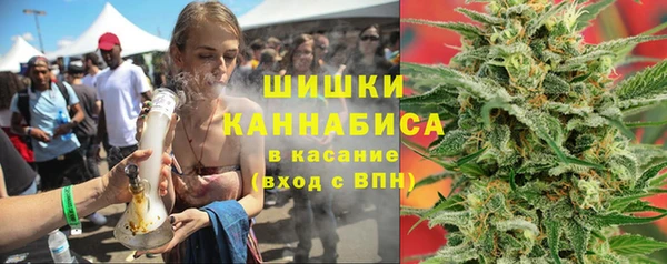 гидра Ельня