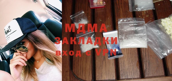 гидра Ельня