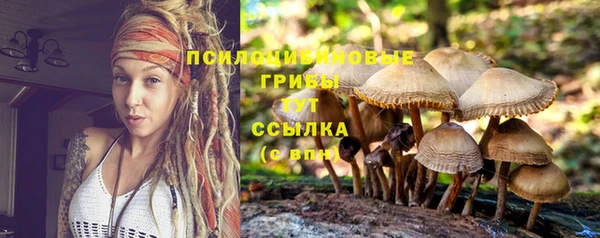 гашишное масло Дмитриев