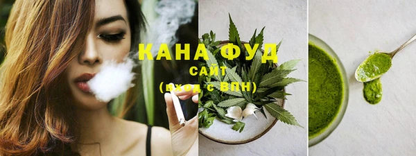 гидра Ельня