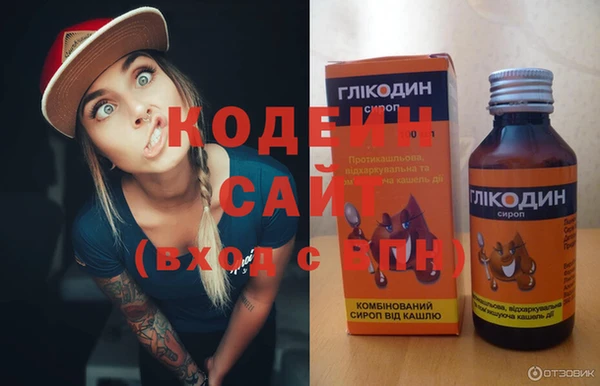 ГАЛЛЮЦИНОГЕННЫЕ ГРИБЫ Елабуга